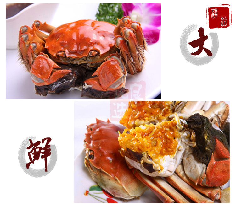 大闸蟹团购