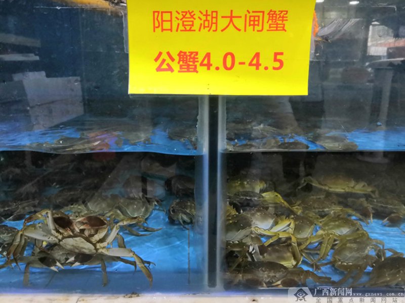 阳澄湖大闸蟹专卖店